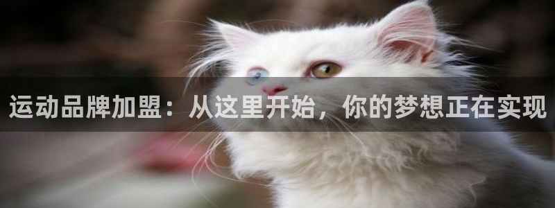 fb体育平台APP：运动品牌加盟：从这里开始，你的梦