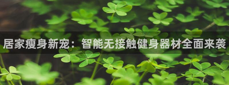 fb体育招商电话号码是多少啊：居家瘦身新宠：智能无接