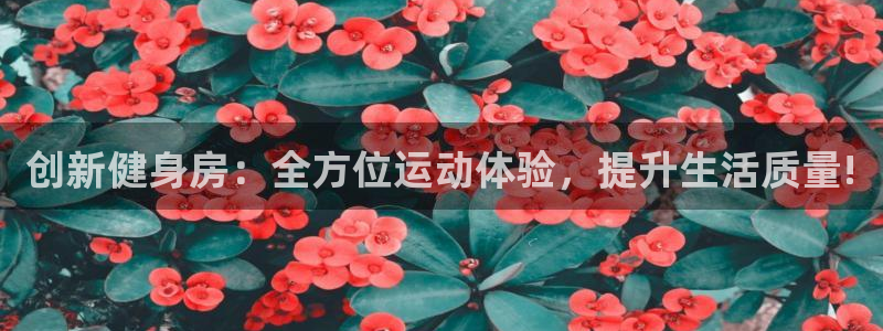 海南fb体育发展怎么样：创新健身房：全方位运动体验，
