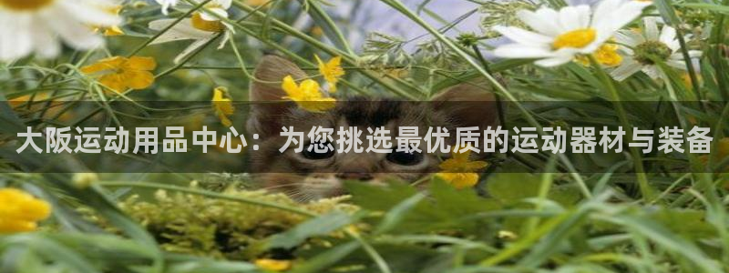 fb体育集团官网网址：大阪运动用品中心：为您挑选最优