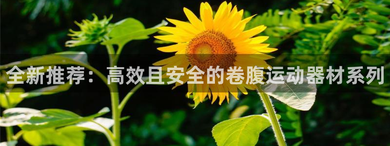 fb体育神州：全新推荐：高效且安全的卷腹运动器材系列