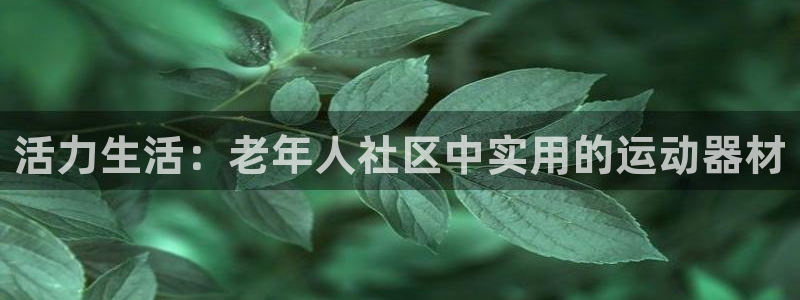 fb集团官网：活力生活：老年人社区中实用的运动器材