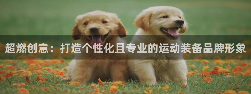 fb体育官网：超燃创意：打造个性化且专业的运动装备品牌形象