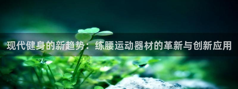 fb体育平台注册：现代健身的新趋势：练腰运动器材的革