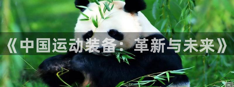 fb体育平台注册要钱吗是真的吗：《中国运动装备：革新与未来》