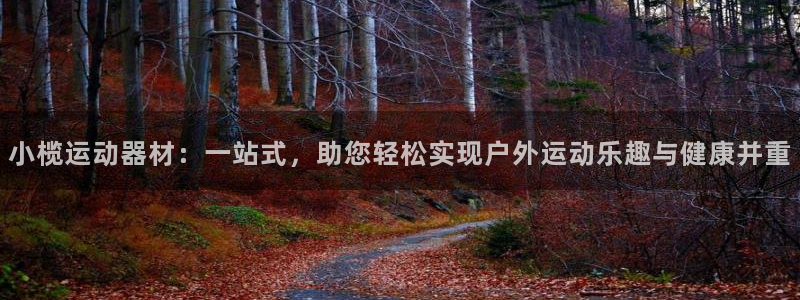 fb体育平台是正规平台吗：小榄运动器材：一站式，助您轻松实现