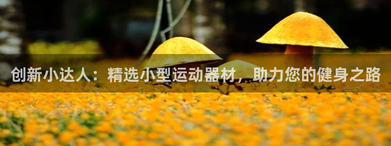 fb体育开户：创新小达人：精选小型运动器材，助力您的